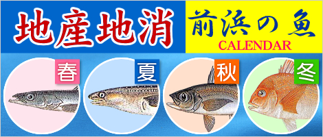 前浜の魚