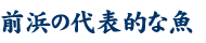 前浜の代表的な魚