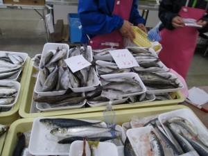 IMG_0180